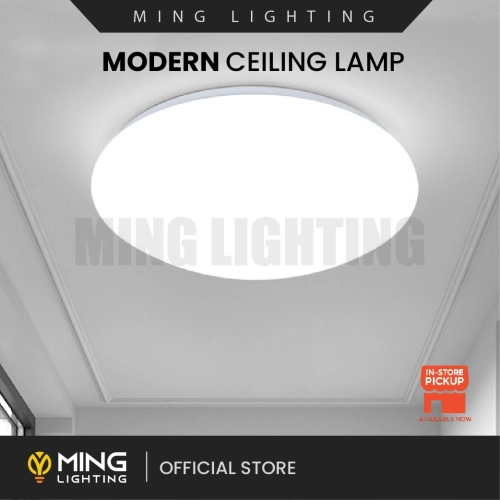 Modern Surface Ceiling Light 14708