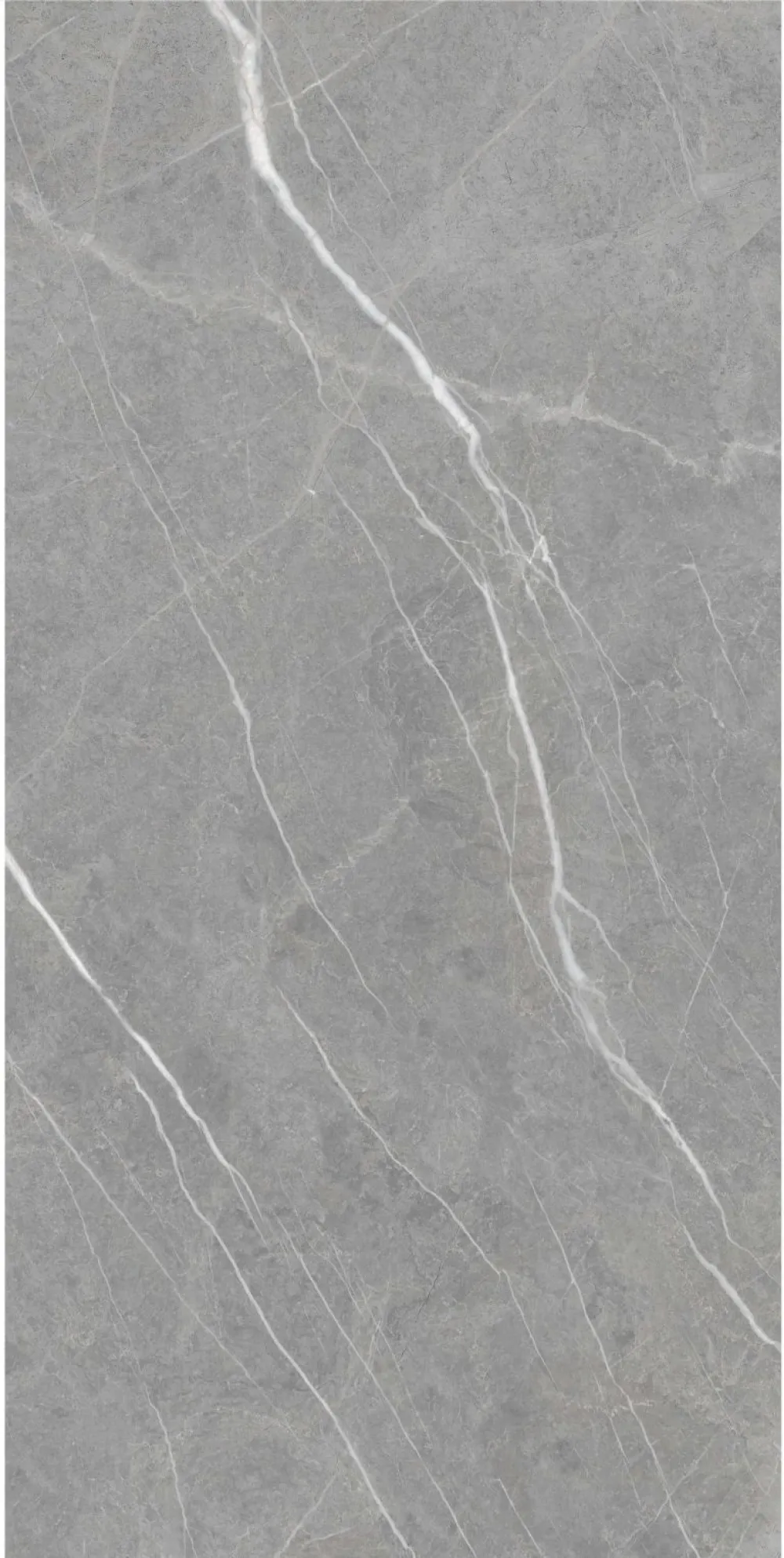 BULGARIAN GREY POLISHED VPG26234 600x1200x11mm