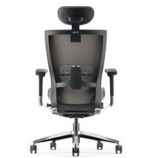 Modern Ergonomic Director High Back Office Chair OFNX220011