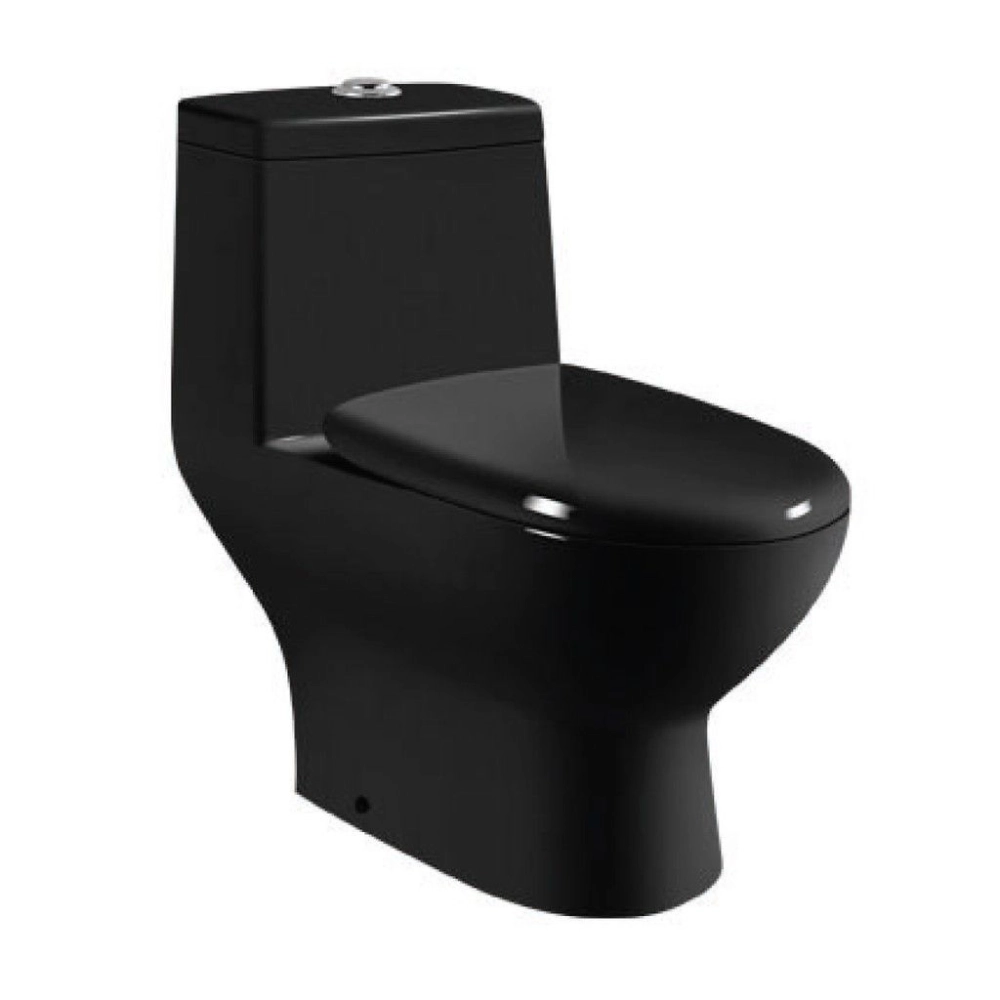 Saniware Toilet Bowl Close Coupled WC