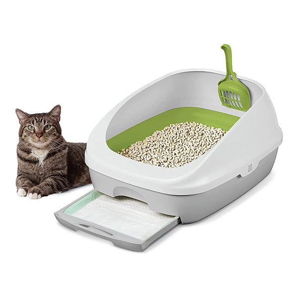 Cat Litter Box