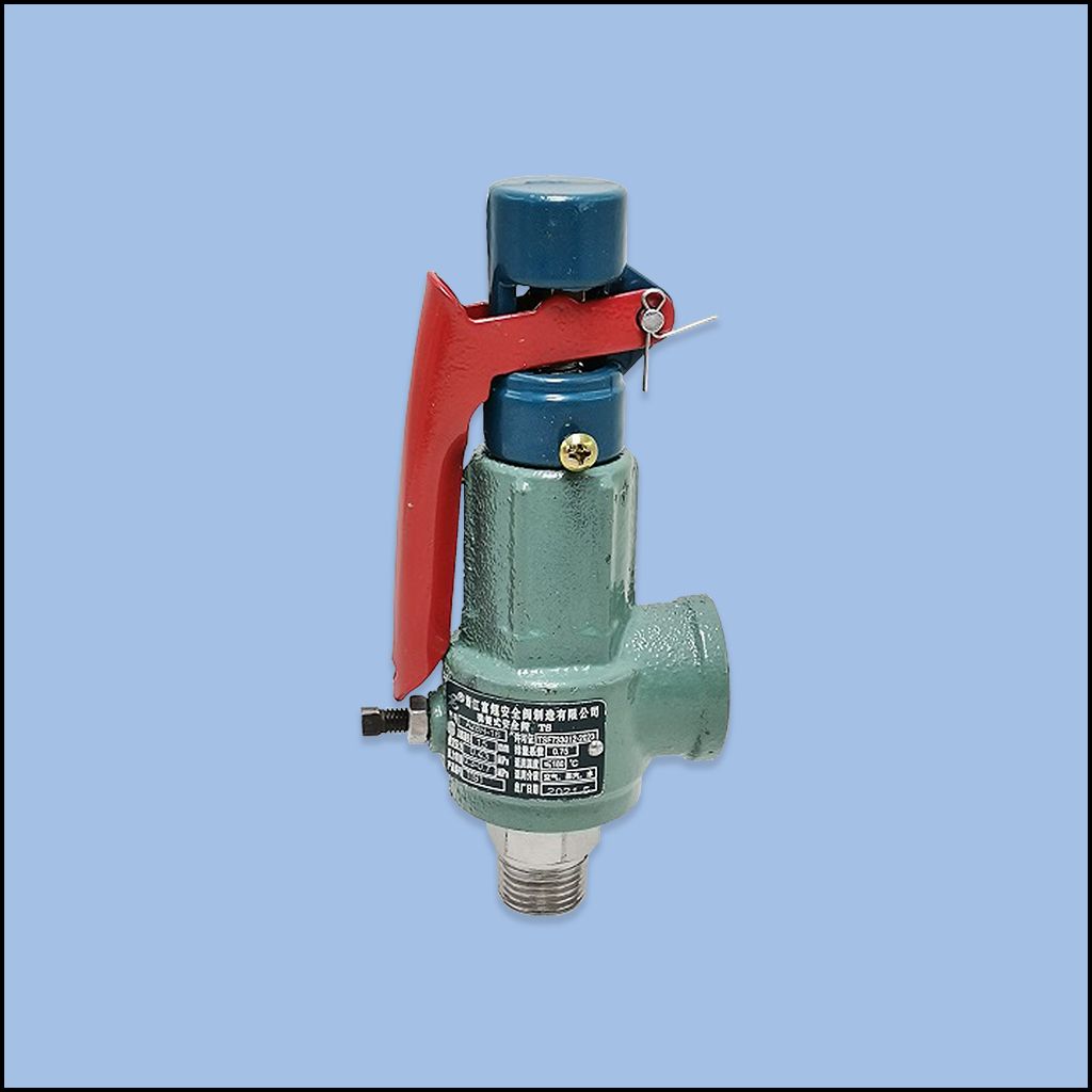 SAFETY VALVE (SPRING TYPE) (2K117006)