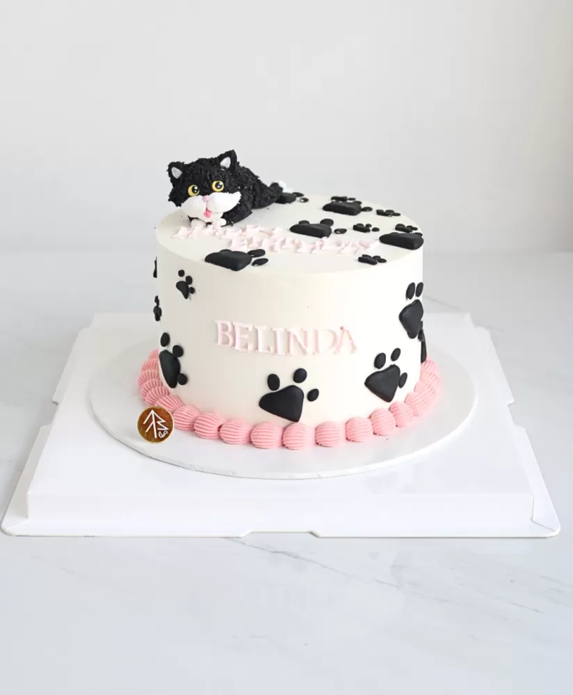 Cat Cake