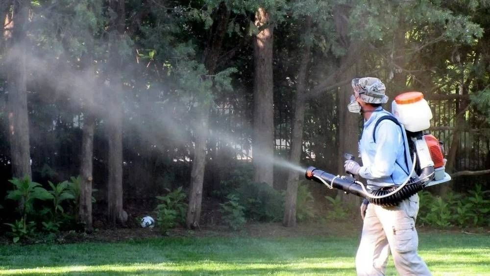 Mosquito Pest Control Services