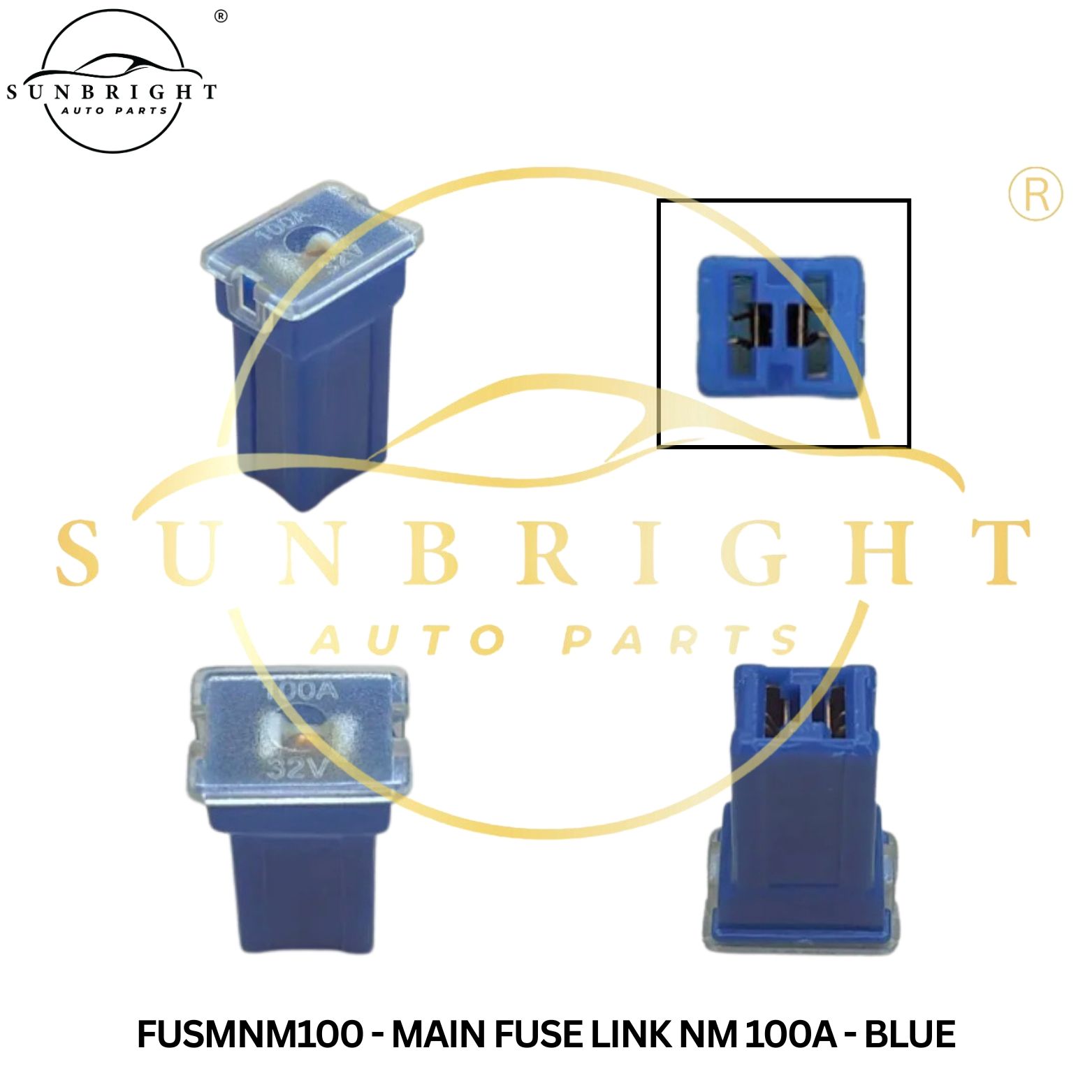 FUSMNM100 - MAIN FUSE LINK NM 100A - BLUE