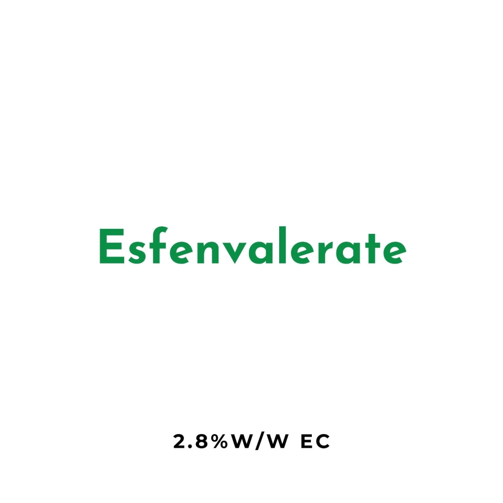 Esfenvalerate 2.8% w/w EC