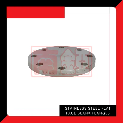 Stainless Steel Flat Face Blank Flanges