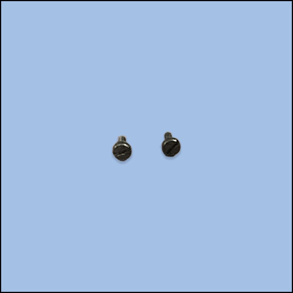OIL SEAL BACKET SCREW (09-16)