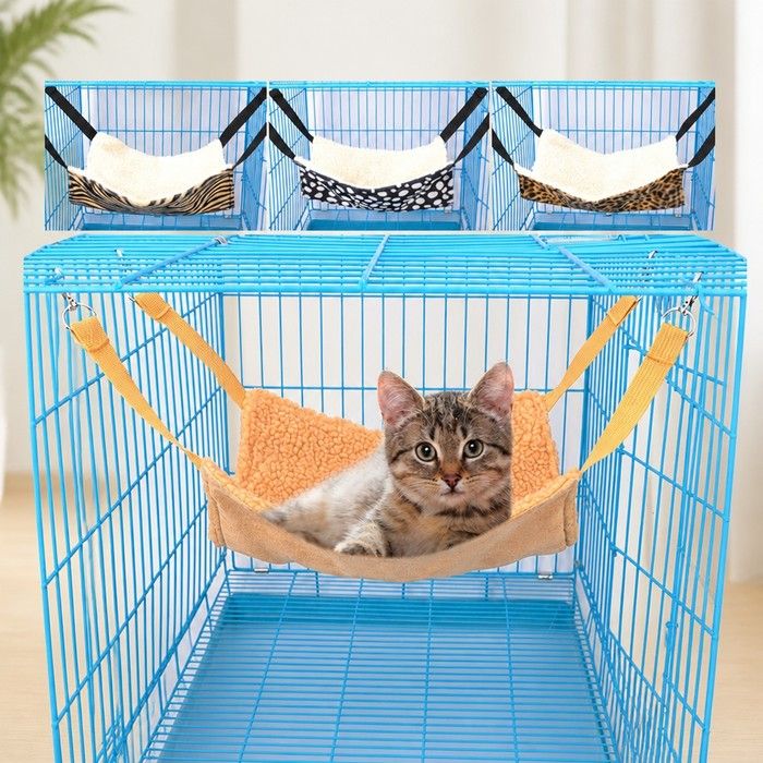 MY Cat