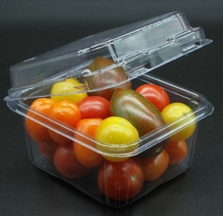 FRUIT CONTAINER : L 250 