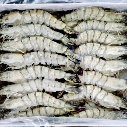 Frozen Tiger Prawn (31 - 35 pcs) (1kg@Packing)