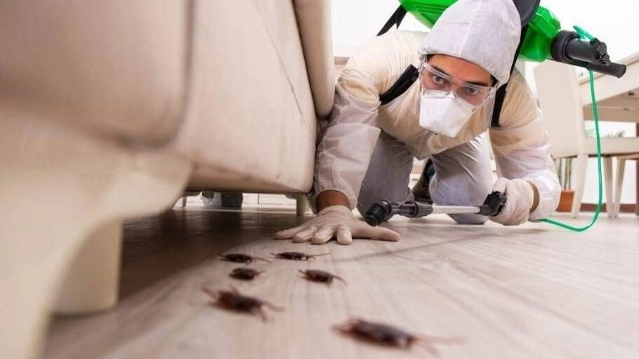 Cockroaches Control
