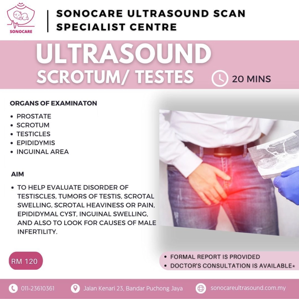 Male Reproductive System / Scrotum Ultrasound