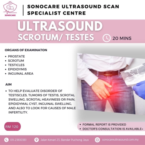 Sistem Pembiakan Lelaki / Ultrasound Skrotum