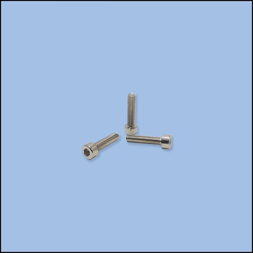 SCREW (S05218)