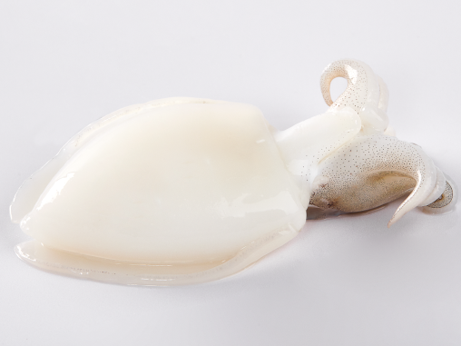 Cuttlefish Whole Cleaned