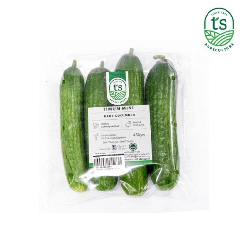 Baby Cucumber 450gm+-