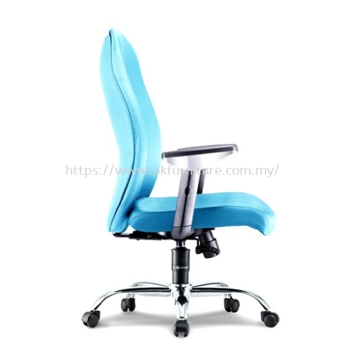 Executive Office Chair - PK-ECOC-15-M-C1 - SKY MEDIUM BACK CHAIR