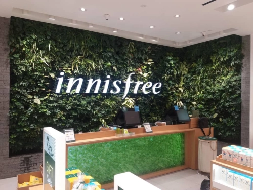 Innisfree - THL Green Wall