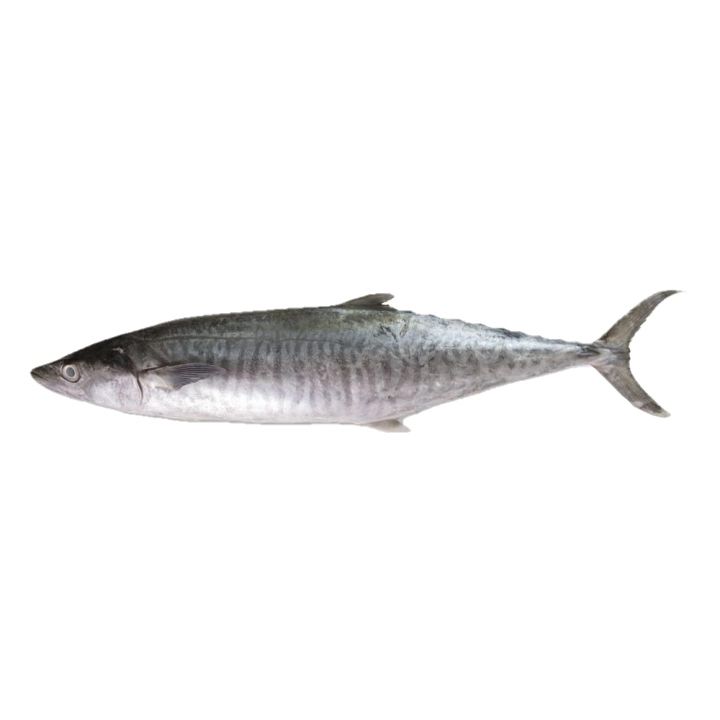 Ikan Masin Tenggiri