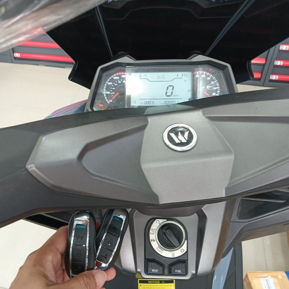 WMoto ES250i