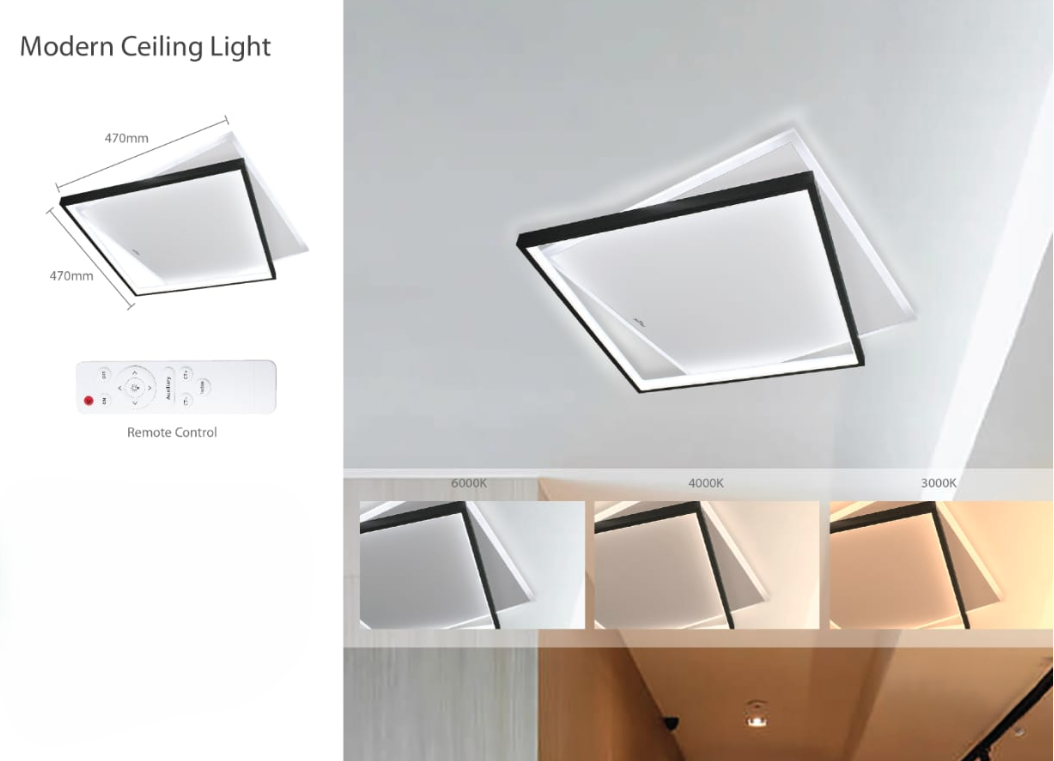 Modern Ceiling Light