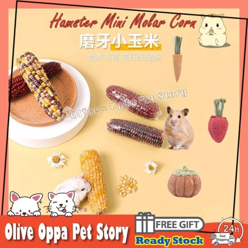 Hamster Mini molar corn small corn 🌽 golden bear rabbit molars baby corn small corn Jagung Hamster🌽 仓鼠磨牙玉米