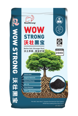 WOW STRONG