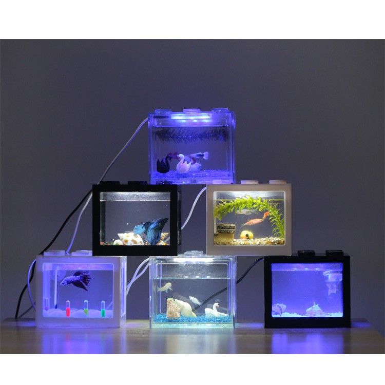 Fish Tank