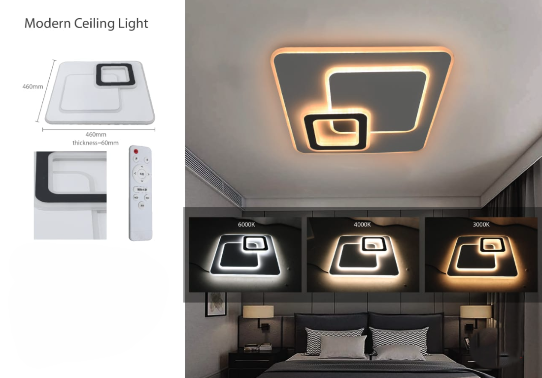 Modern Ceiling Light
