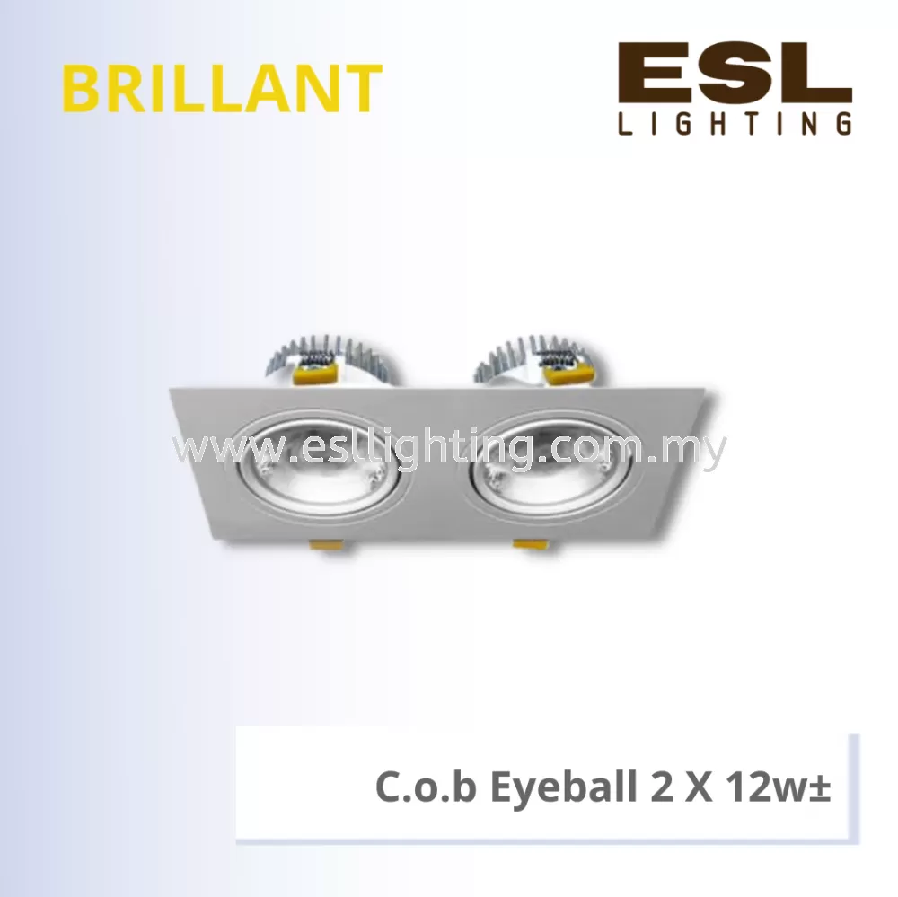BRILLANT C.o.b Eyeball 2 X 12w - BSL-001-SQ-2X12W