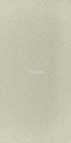 CGLX-2 1409S FROSTY WHITE