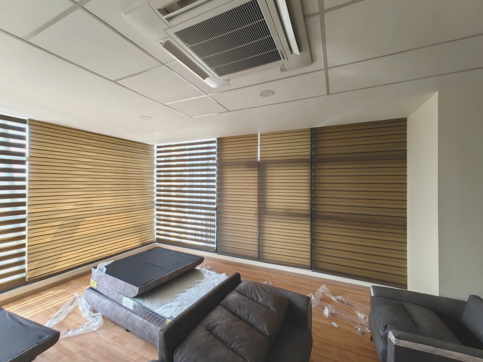 Zebra Blind