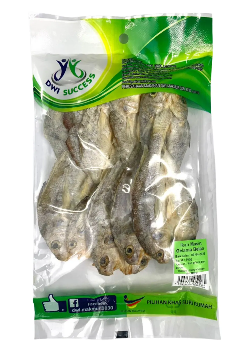 Ikan Masin Gelama Belah 100G RM 5.00 X5 Pack C.Dwi Success