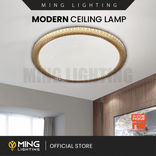 Modern Surface Ceiling Light 14700