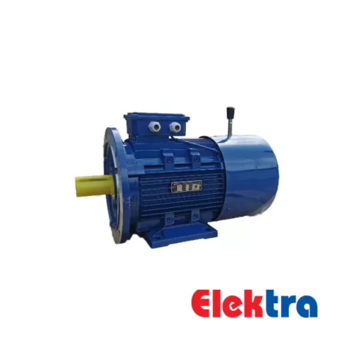 Elektra Brake Motor