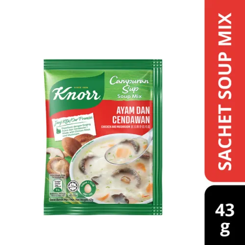 KNORR CHICKEN & MUSHROOM ORIENTAL INSTANT SOUP (12 X 43G)