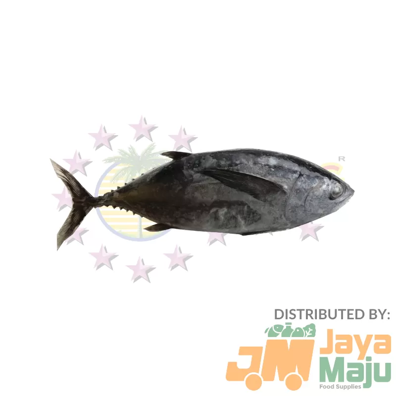 IKAN TENGGIRI / MACKEREL