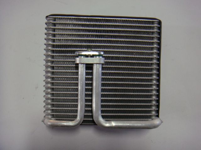 Tyt Dyna 2003 N/M PF (C) [SWJ-CZ-167]