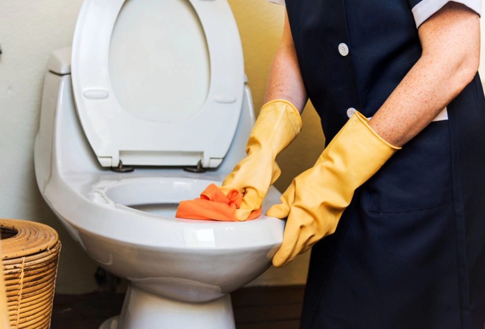 Toilet Cleaning