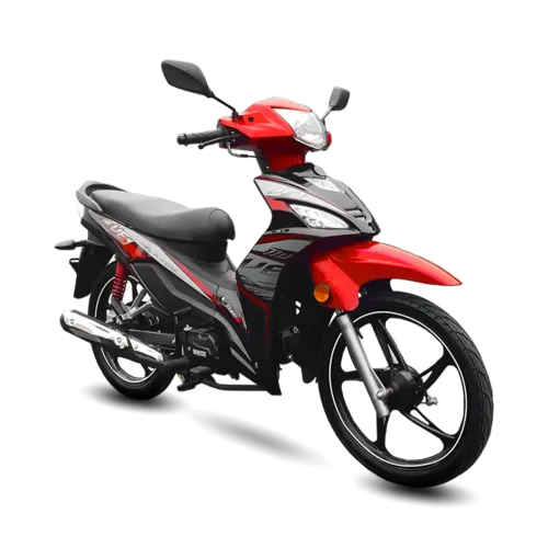 WMOTO VE1-H