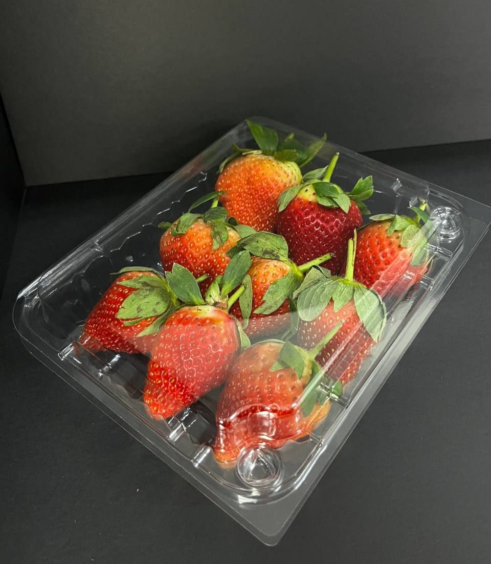 FRUIT CONTAINER : NB 003