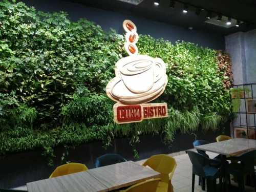 Hirm Bistro | THL Green Wall