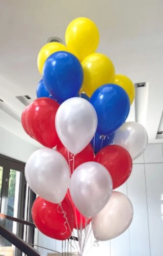 12 inch Standard Balloon Plain Color 15pcs (B-SP15)