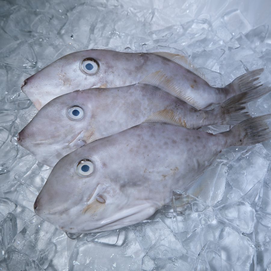 Export Frozen Seafood