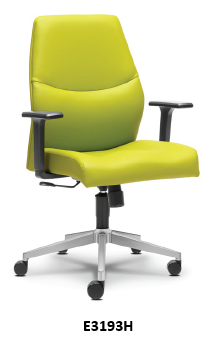Low Back Chair (E3193H)
