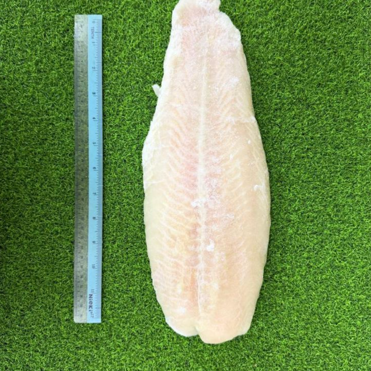 Dory Fillet