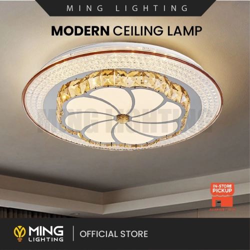 Modern Surface Ceiling Light 13921