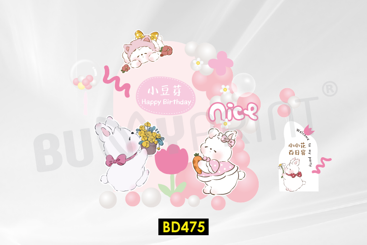 Birthday 475-01