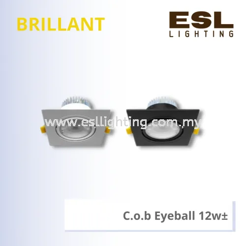 BRILLANT C.o.b Eyeball 12w - BSL-001-SQ-12W